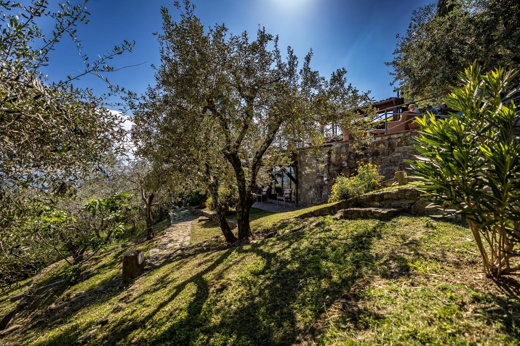 Bed Breakfast La Paggeria Trespiano Екстериор снимка