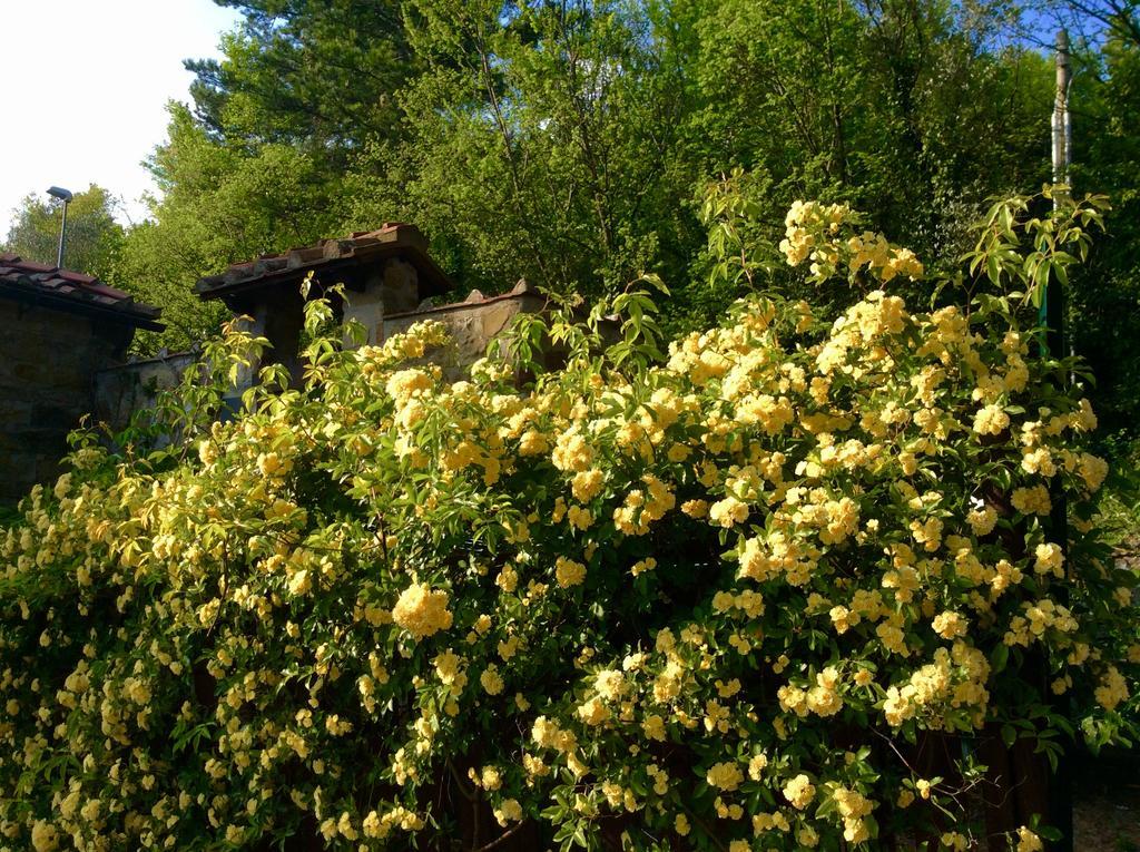 Bed Breakfast La Paggeria Trespiano Екстериор снимка